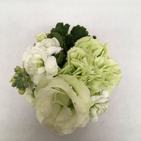 《花と漆器と色》涼味（夏）