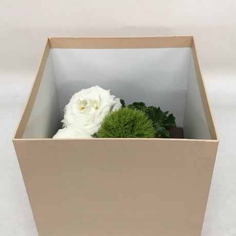 《花と漆器と色》クリスマス（冬）