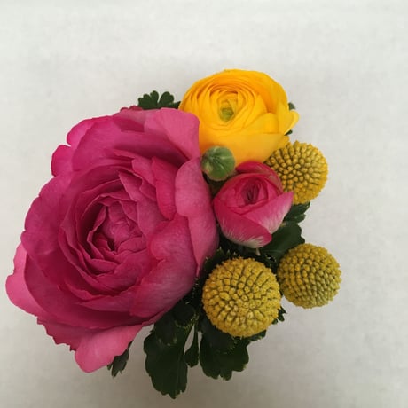 《花と漆器と色》咲（春）