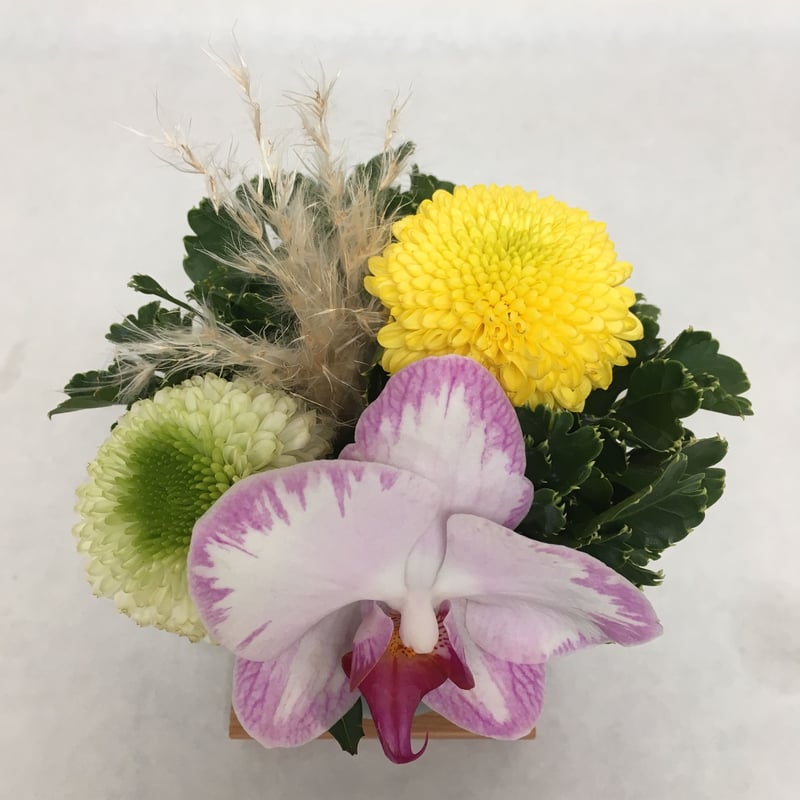 釣花器　雪月花 花と漆器と色》雪月花（冬） | IRIS flower&colour