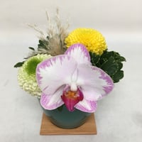《花と漆器と色》雪月花（冬）