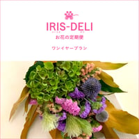 お花の定期便　IRIS-DELI（ワンイヤープラン）