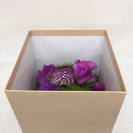 《花と漆器と色》和