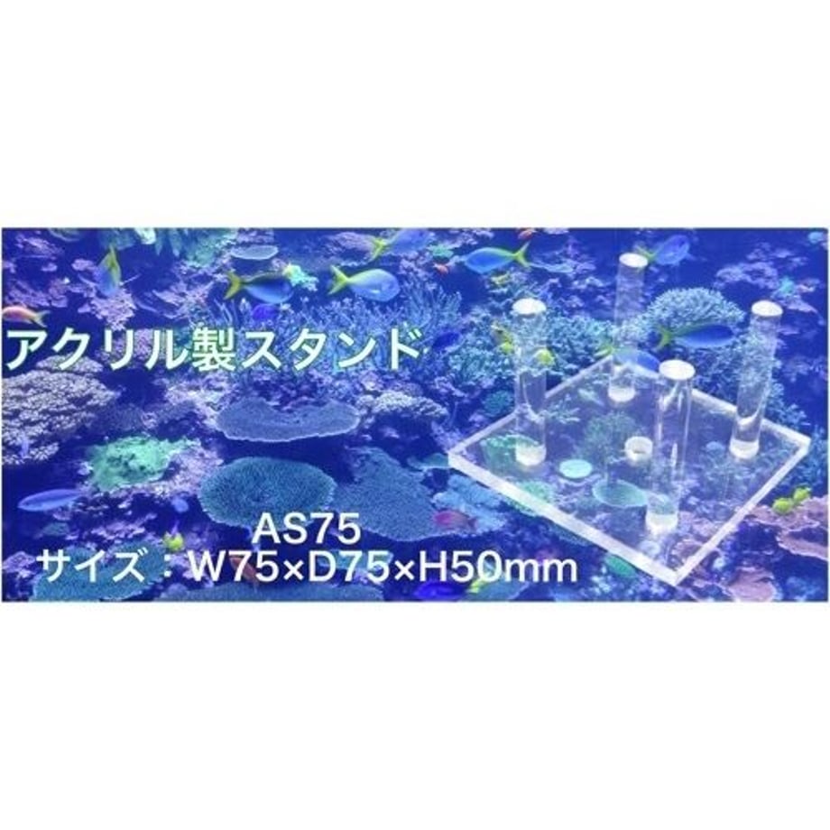59bf1fd23210d57a69000c6e