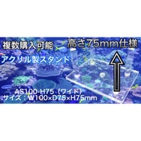 【レターパック対応】アクリル製スタンド  AS100-H75 ワイドハイ ライブロックスタンド（100×75×75） 水槽用 レイアウト用 ライブロック用 サンゴ アクリル台 サンゴ台