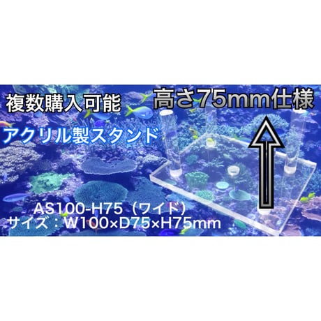 【レターパック対応】アクリル製スタンド  AS100-H75 ワイドハイ ライブロックスタンド（100×75×75） 水槽用 レイアウト用 ライブロック用 サンゴ アクリル台 サンゴ台