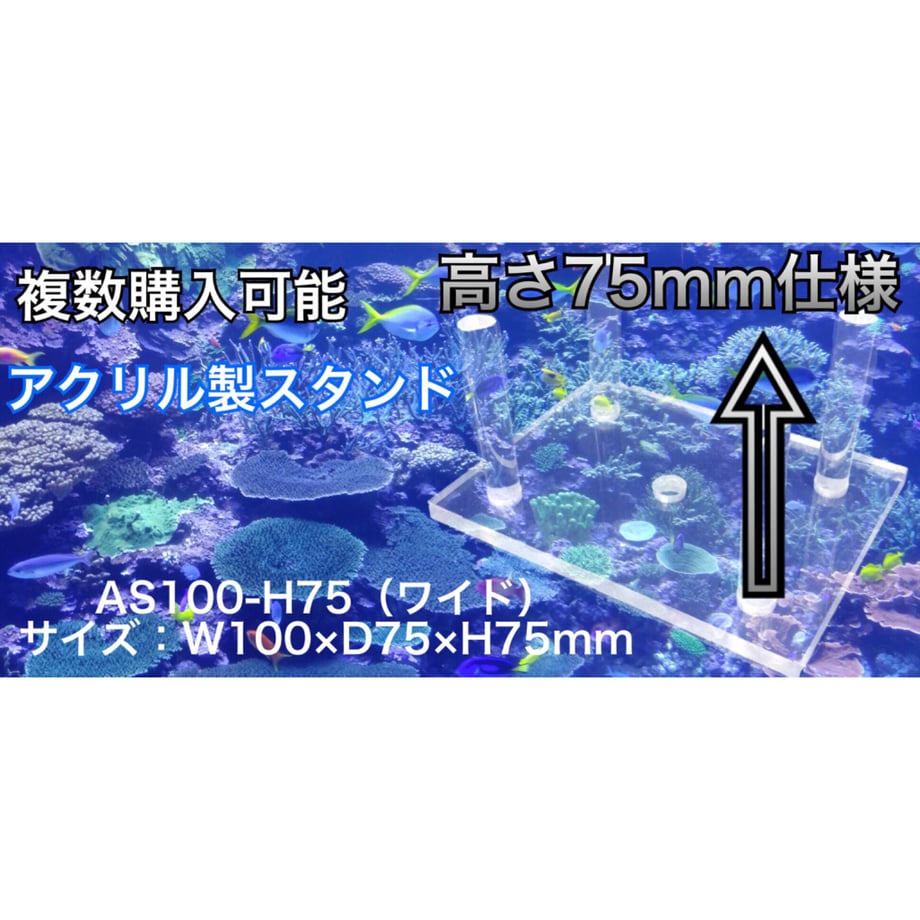 625139f6d218bc5e9d12cff3
