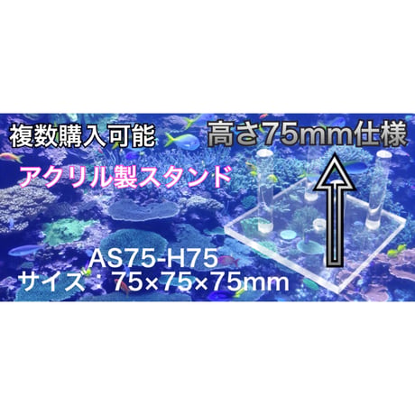 【レターパック対応】アクリル製スタンド  AS75-H75 ハイ ライブロックスタンド（75×75×75） 水槽用 レイアウト用 ライブロック用 サンゴなどに アクリル 台 サンゴ台 珊瑚台