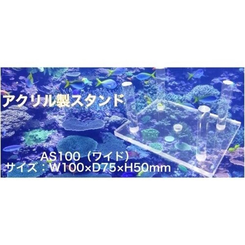 レターパック対応】アクリル製スタンド AS100 ワイド ライブロック