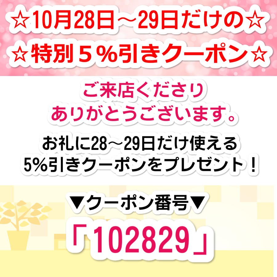 28～29日限定！5％引き