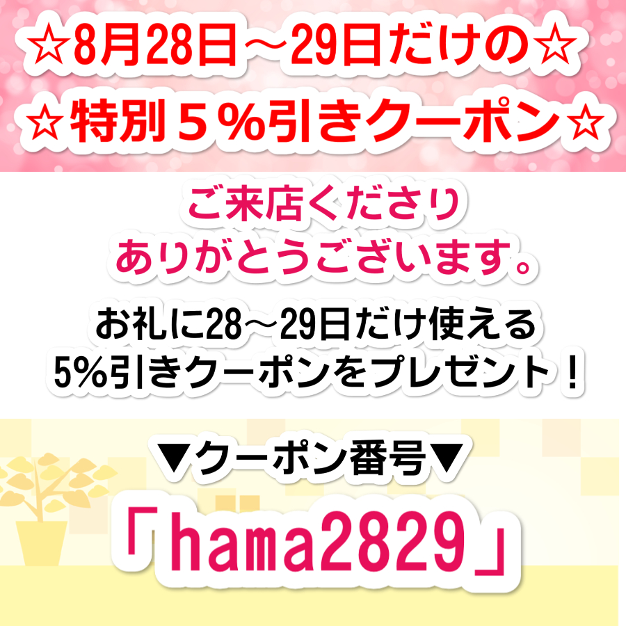 8月28～29日限定！5％引き