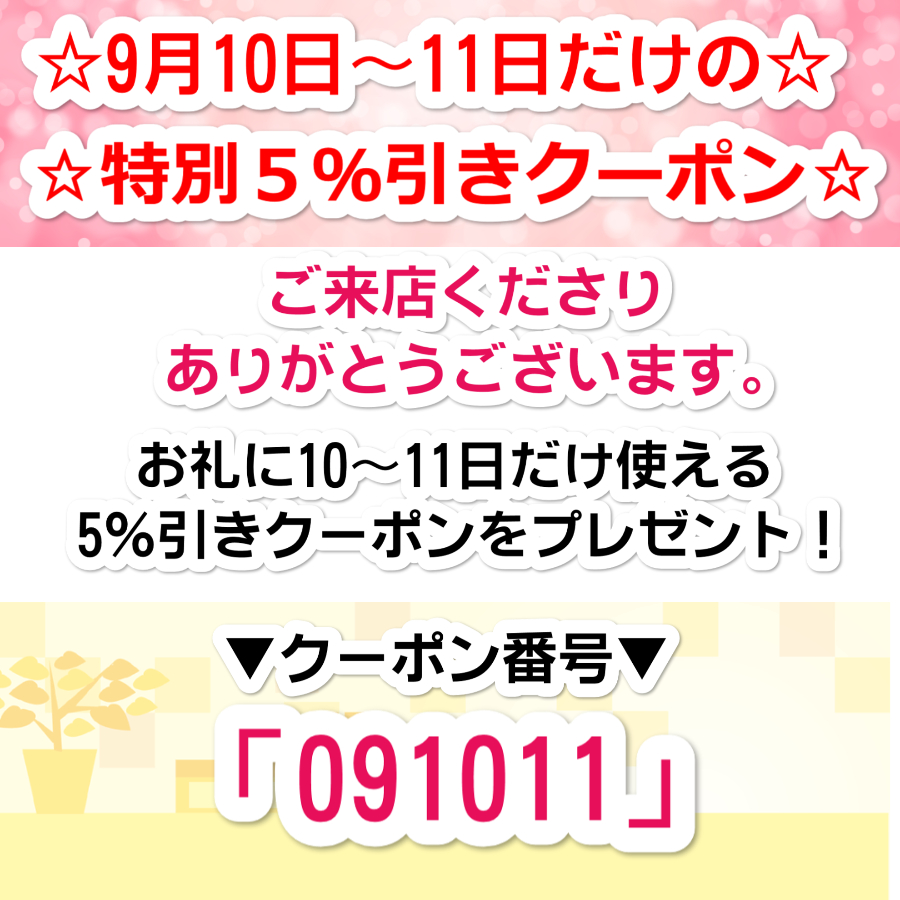 9月10～11日限定！5％引き