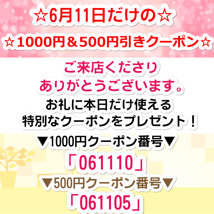 6月11日限定！特別クーポン！