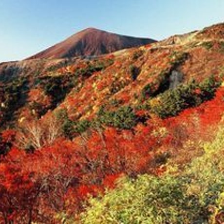 お祓い 60日祈祷