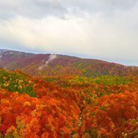 お祓い 60日祈祷