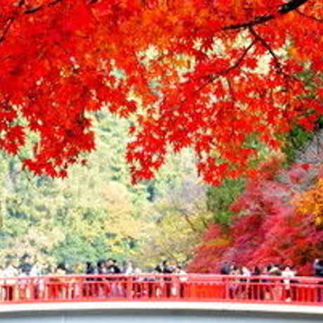 お祓い 特別祈祷