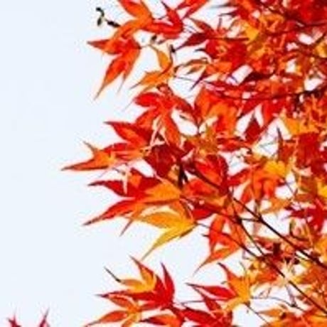 お祓い 60日祈祷