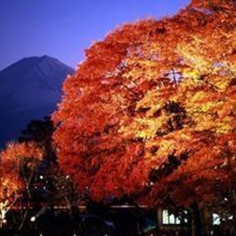 お祓い 60日祈祷