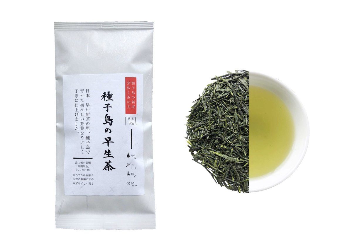 令和６年度新茶 水出し茶 お試しセット( 令和7年度産 掛川深蒸し新茶 )【史上初