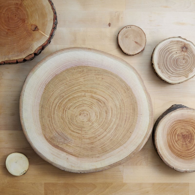 輪切りプレート各種(厚さ10㎜〜30㎜、φ40㎜〜400㎜ ) | 間伐材工房 元