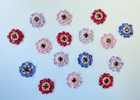 Anemone