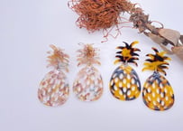 Pineapple 🍍