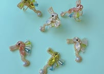 タツノオトシゴ　Ring