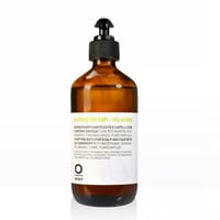 ノンダンドラフヘアバス（オイリー スカルプ）【シャンプー】（240ml）