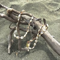 Sea Shell Choker / 貝殻チョーカー　#1978204