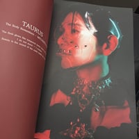 zodiac vanitas