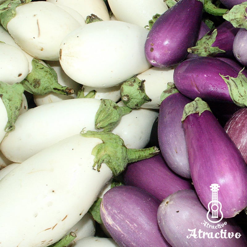 イタリア原産白ナス(ホワイトベル)の種 | イタリア野菜・西洋野菜と