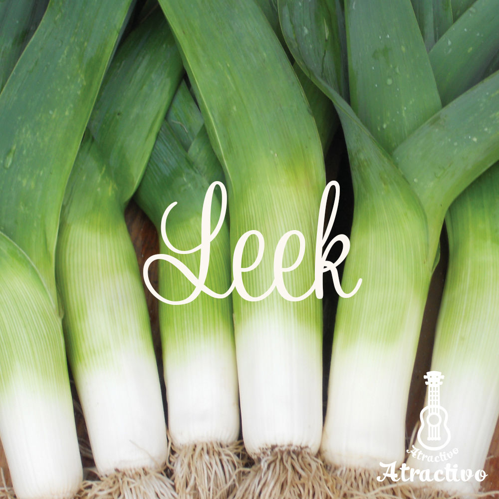 地中海沿岸原産の西洋ネギ・ポロネギ（リーキ）の種 | イタリア野菜