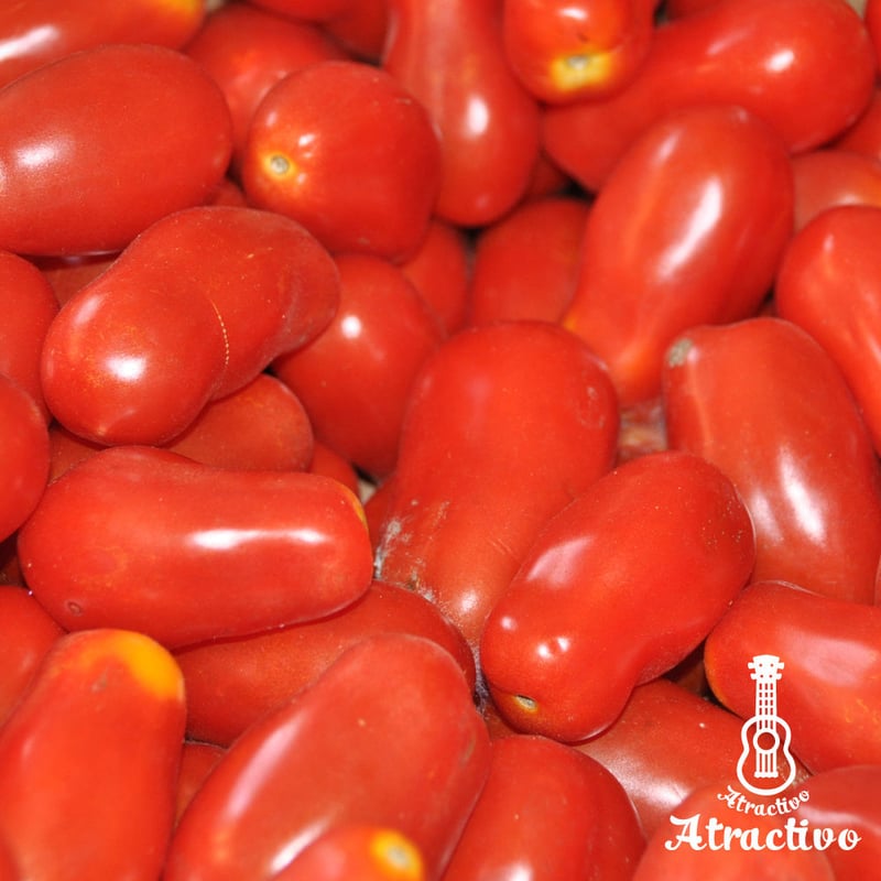 イタリアントマト・サンマルツァーノの種 | イタリア野菜・西洋野菜と