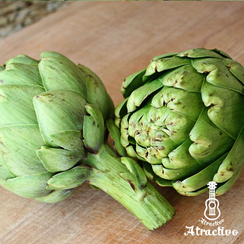イタリア料理にはかかせないアーティーチョーク の種 | イタリア野菜