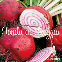 イタリア野菜テーブルビート(トンダ デ チオッギア)の種