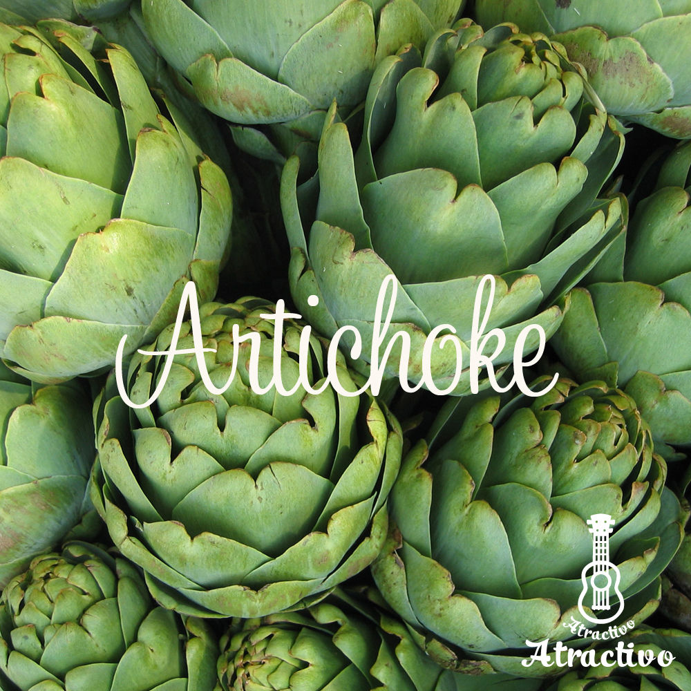 イタリア料理にはかかせないアーティーチョーク の種 | イタリア野菜