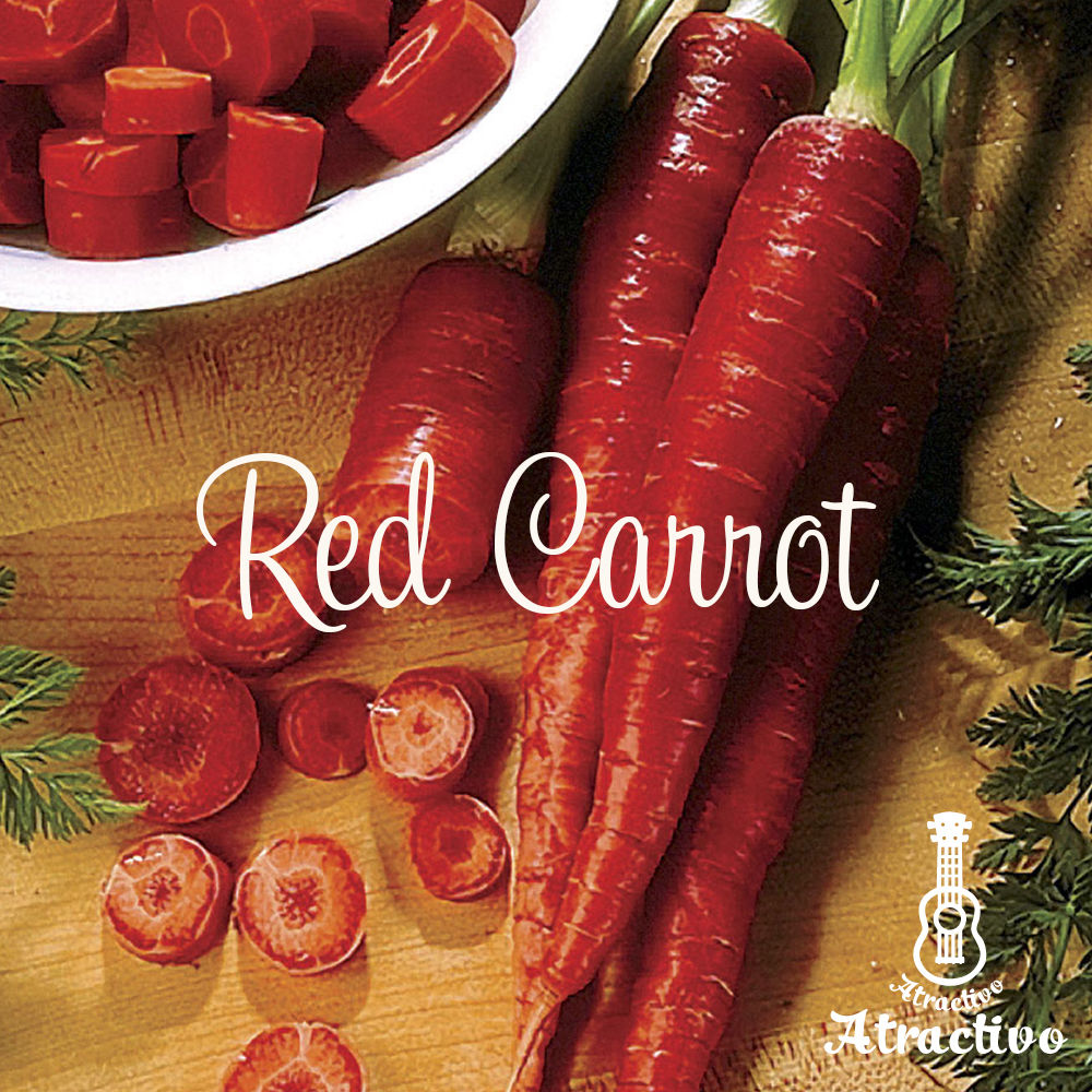 色鮮やかな赤人参アトミックレッドキャロットの種 | イタリア野菜