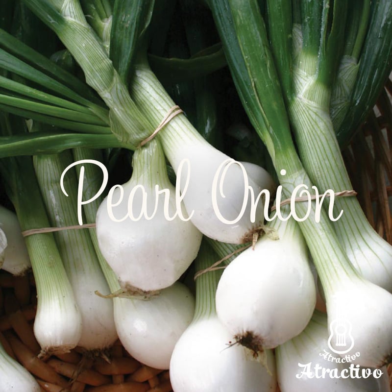 小さな真珠のような玉ねぎパールオニオンの種 | イタリア野菜・西洋  
