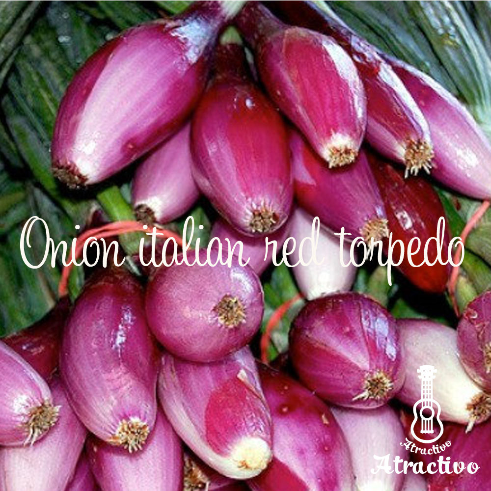 餌木猿　オレンジオニオンドット　ピンクオニオンドット 餌木猿 オレンジオニオンドット｜Yahoo!フリマ（旧PayPayフリマ）