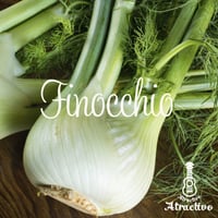 魅惑のイタリア野菜 フィノッキオの種