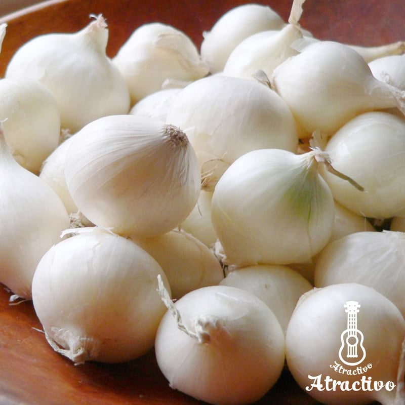 小さな真珠のような玉ねぎパールオニオンの種 | イタリア野菜・西洋  