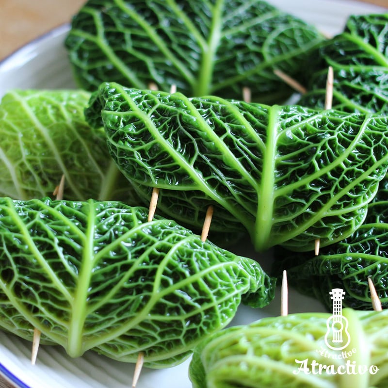 ちりめん状の美しい葉が特徴「サボイキャベツ」の種 | イタリア野菜