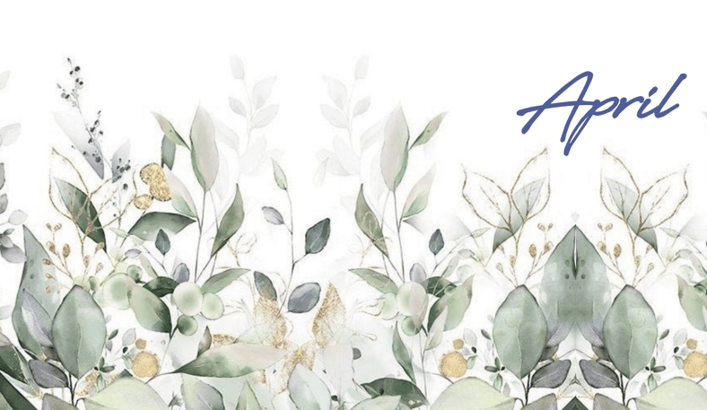 CATEGORY TRANOI | エイプリル