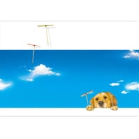 POSTCARD  「僕も遊びたいな…」
