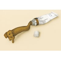 POSTCARD  「dachshund-color」
