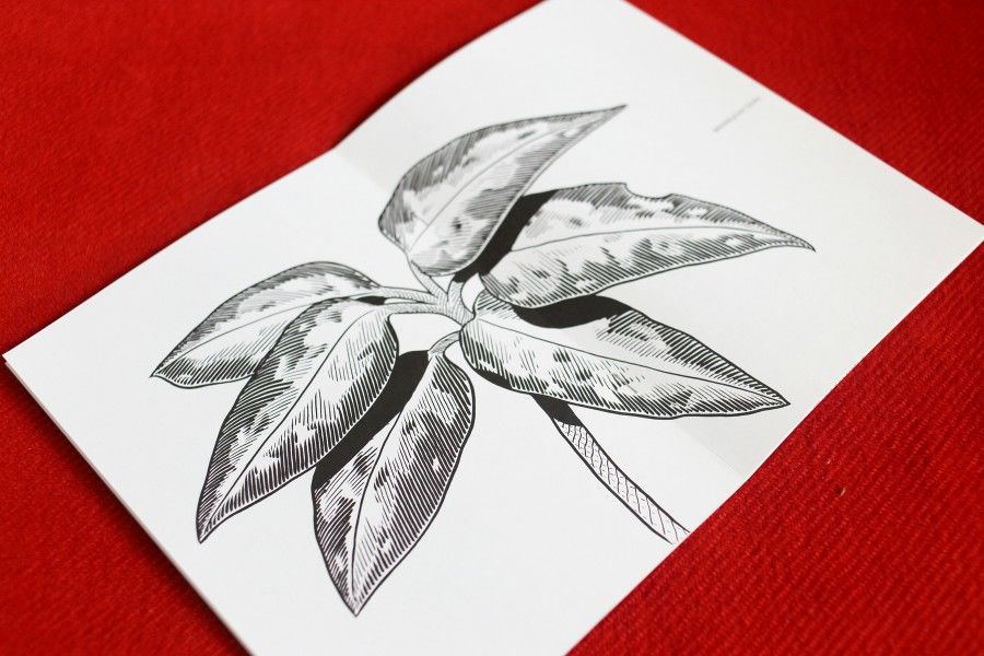 絵画 bizarre plants Bizarre Plants / YUTA OKAMURA | STRAIGHT