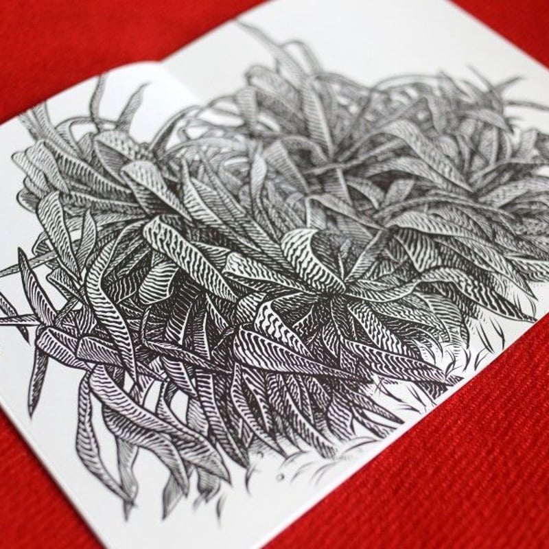 絵画 bizarre plants Bizarre Plants / YUTA OKAMURA | STRAIGHT