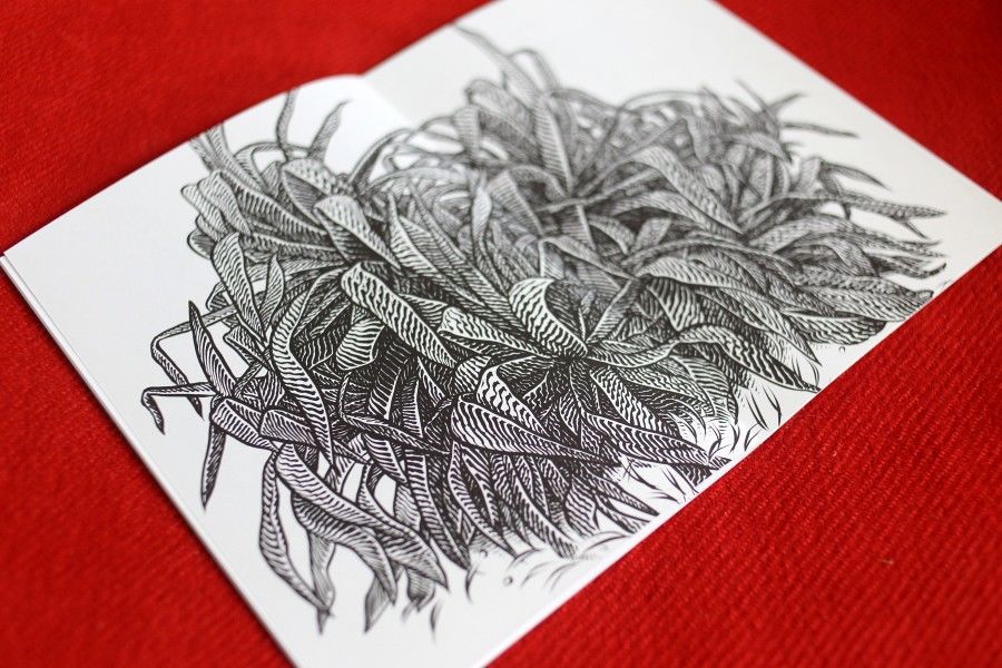 絵画 bizarre plants Bizarre Plants / YUTA OKAMURA | STRAIGHT