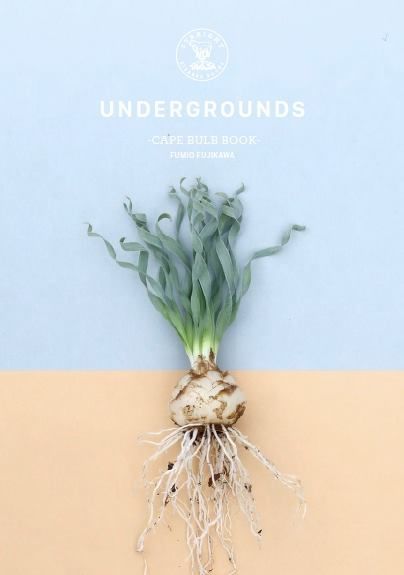 Color Encyclopedia of Cape Bulbs 球根 洋書 Color Encyclopedia of Cape Bulbs 球根 洋書