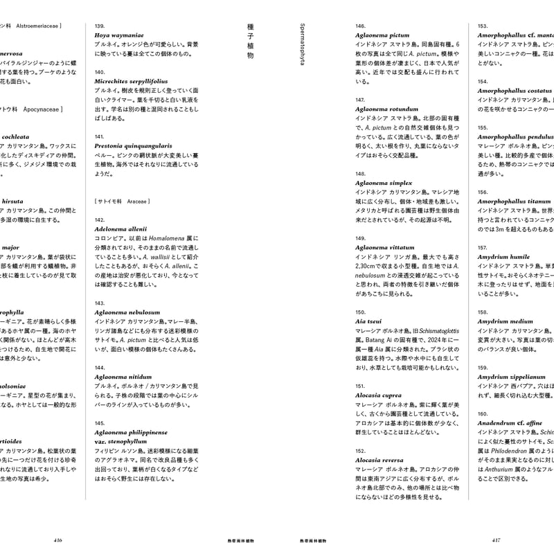 熱帯雨林植物 MIST LOVERS ―ジャングルの小型草本植物たち― | STRAIGHT